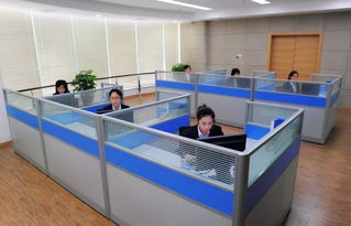 全天候温暖守护 苍南县96345社会救助服务热线正式开通