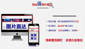 图片直达 信息获取的新范式与咨询服务转型